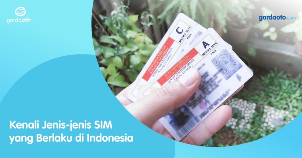 Kenali Jenis-jenis SIM Yang Berlaku Di Indonesia - Asuransi Lengkap ...