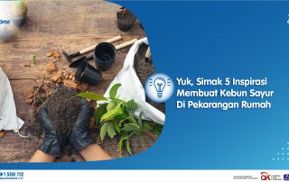 Yuk Simak 5 Inspirasi Membuat Kebun Sayur Di Pekarangan Rumah