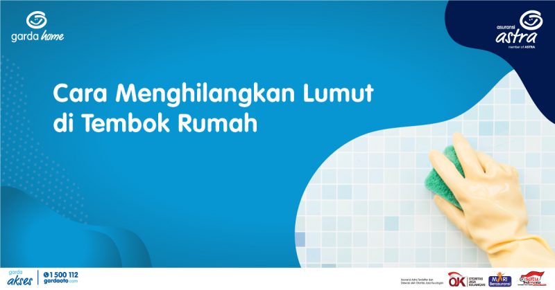  Cara  Menghilangkan Lumut di  Tembok  Rumah dengan Mudah