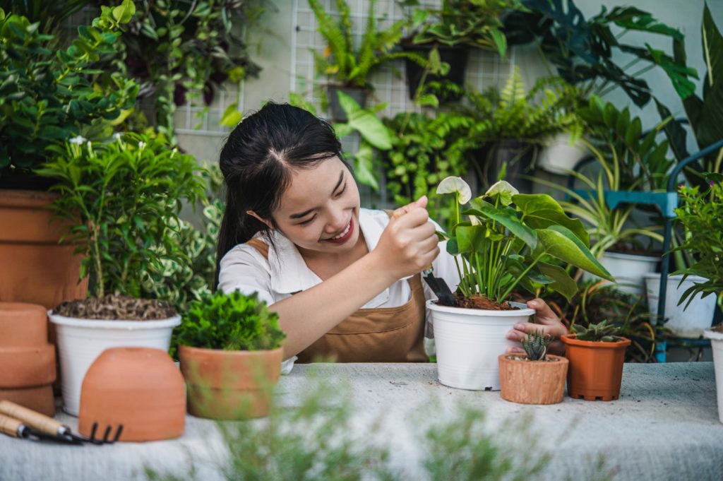 Ingin Buat Taman Vertikal di Rumah? Perhatikan Hal-hal Ini 